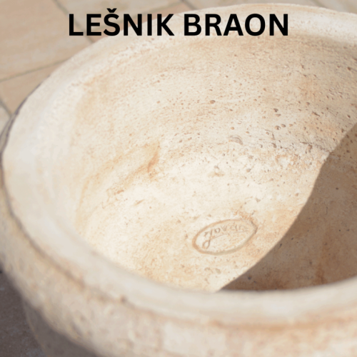 Lešnik braon lesnik braon
